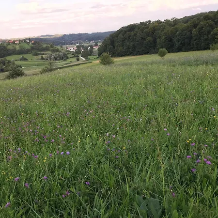 Morning Coffee W A View :) *