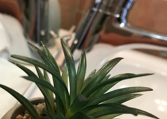 Апартаменты Morning Coffee W A View :) Подчетртек