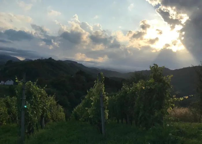 Morning Coffee W A View :) Апартаменты