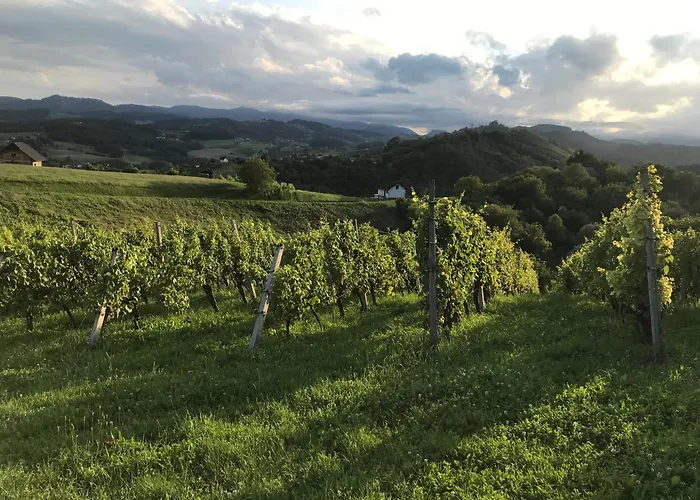 アパート Morning Coffee W A View :) *