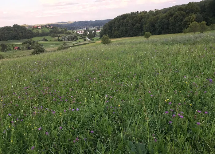 Morning Coffee W A View :) *